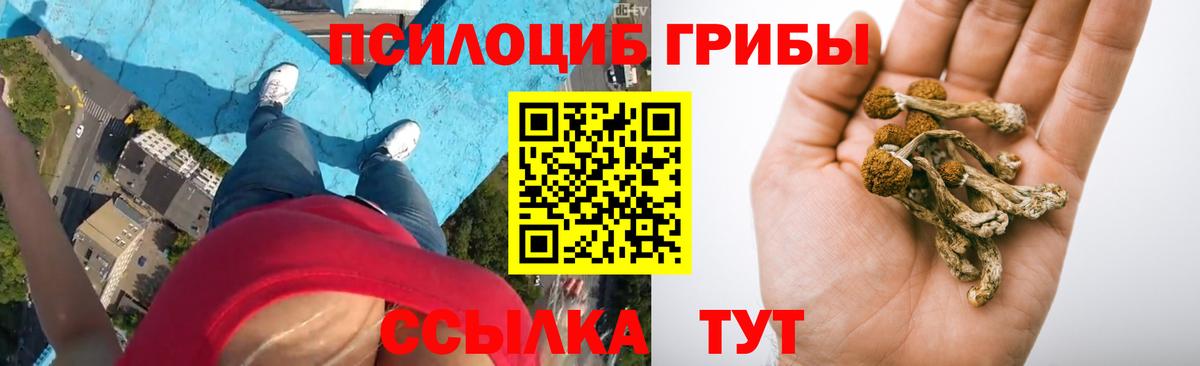 Псилоцибиновые грибы GOLDEN TEACHER  наркота  Саяногорск  Вход с VPN 